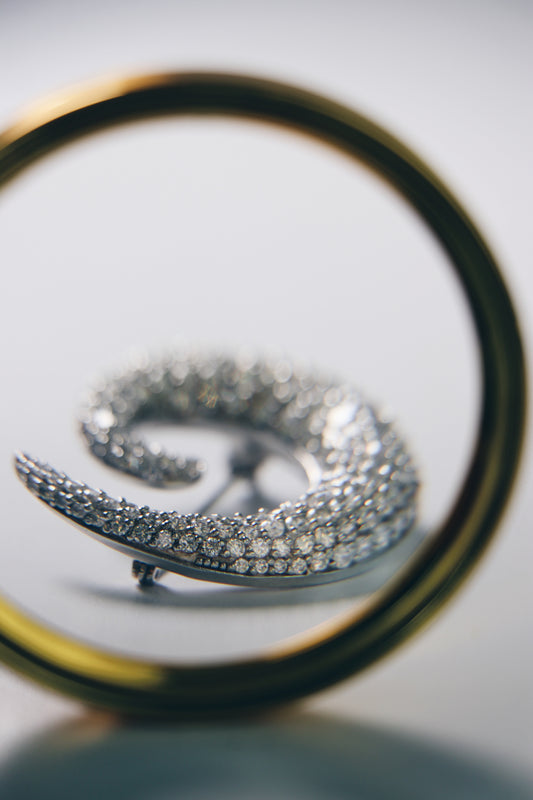 Broche Espiral Plata